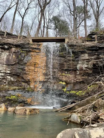 a view of a yard with plants and a bench