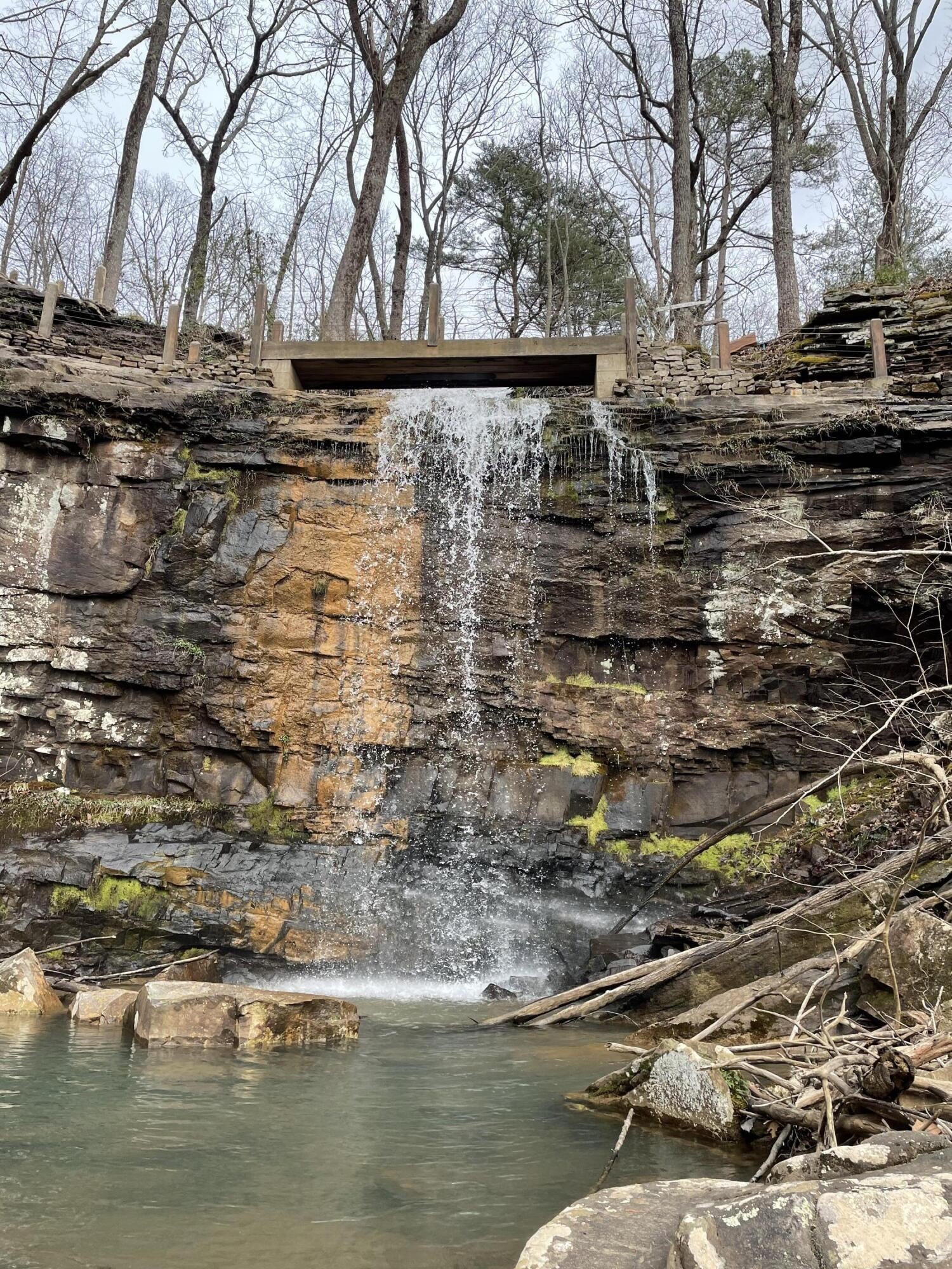 2795 Raulston Falls Drive Jasper, TN 37347 - Photo 14 of 96