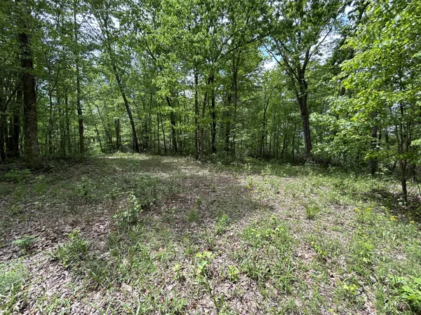 an aerial view of a house with yard and mountain view in back