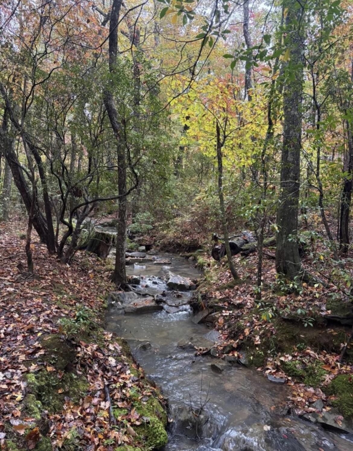 2795 Raulston Falls Drive Jasper, TN 37347 - Photo 2 of 96