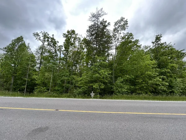 an aerial view of a golf course with a garden