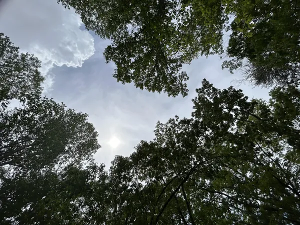 a view of a swimming pool and lake