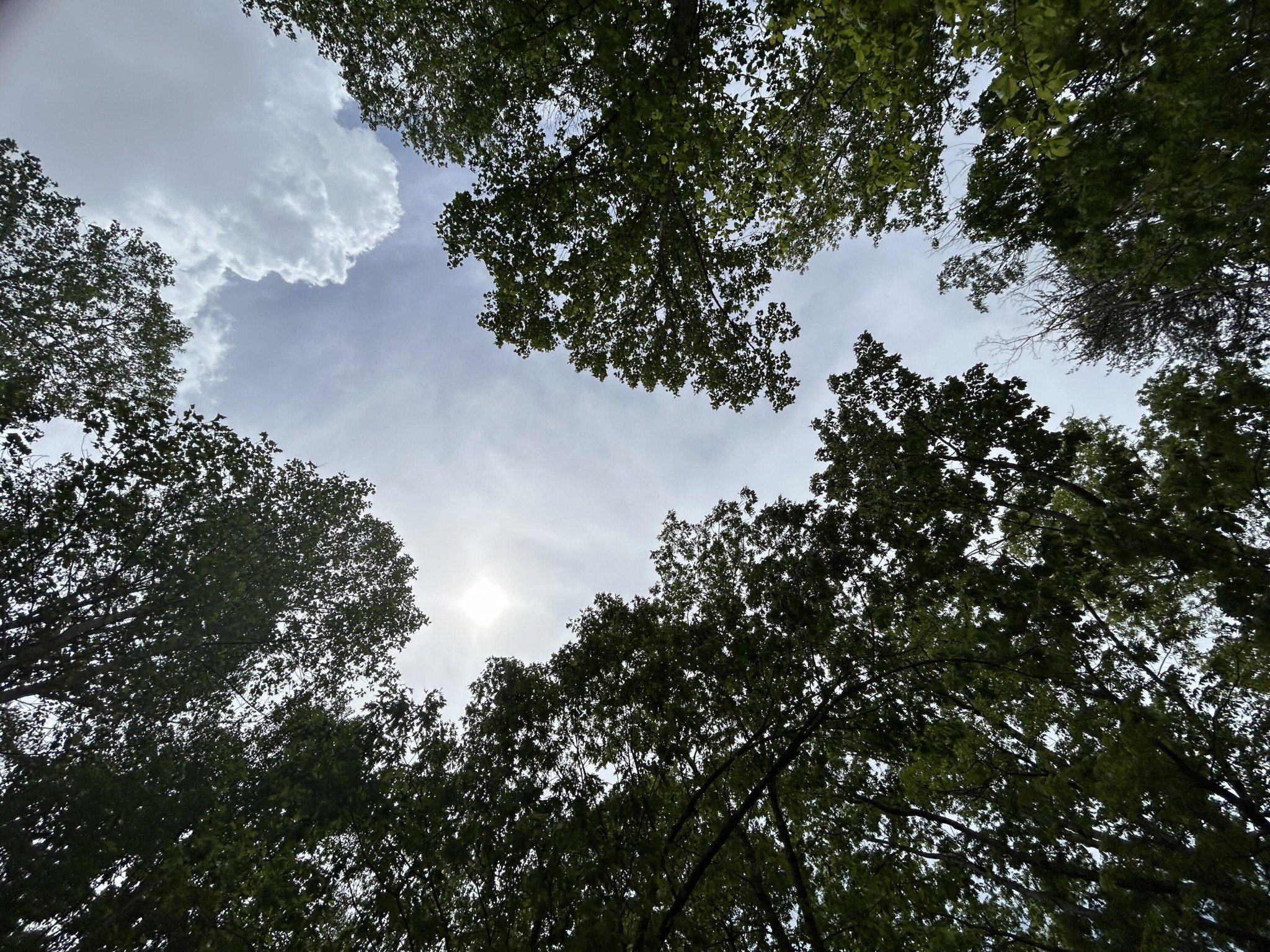 2795 Raulston Falls Drive Jasper, TN 37347 - Photo 25 of 96