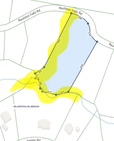 a view of a forest with a tree