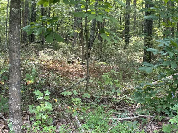 $429,000 | 2795 Raulston Falls Drive, Jasper, TN 37347