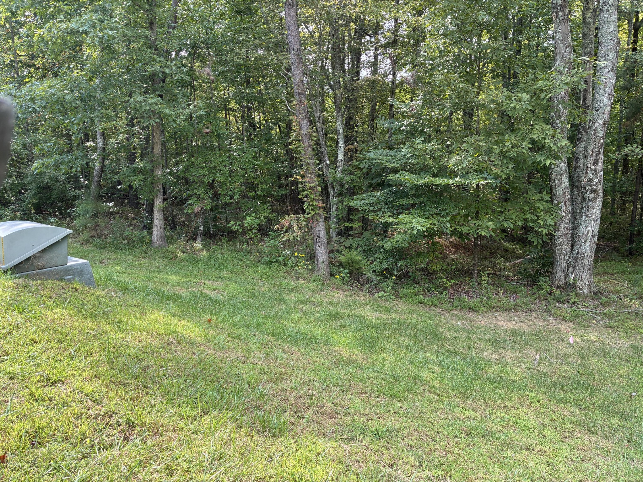 2795 Raulston Falls Drive Jasper, TN 37347 - Photo 33 of 96