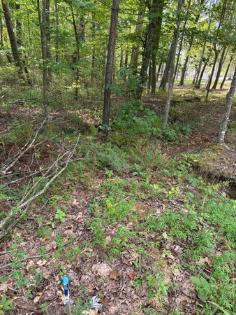 $429,000 | 2795 Raulston Falls Drive, Jasper, TN 37347