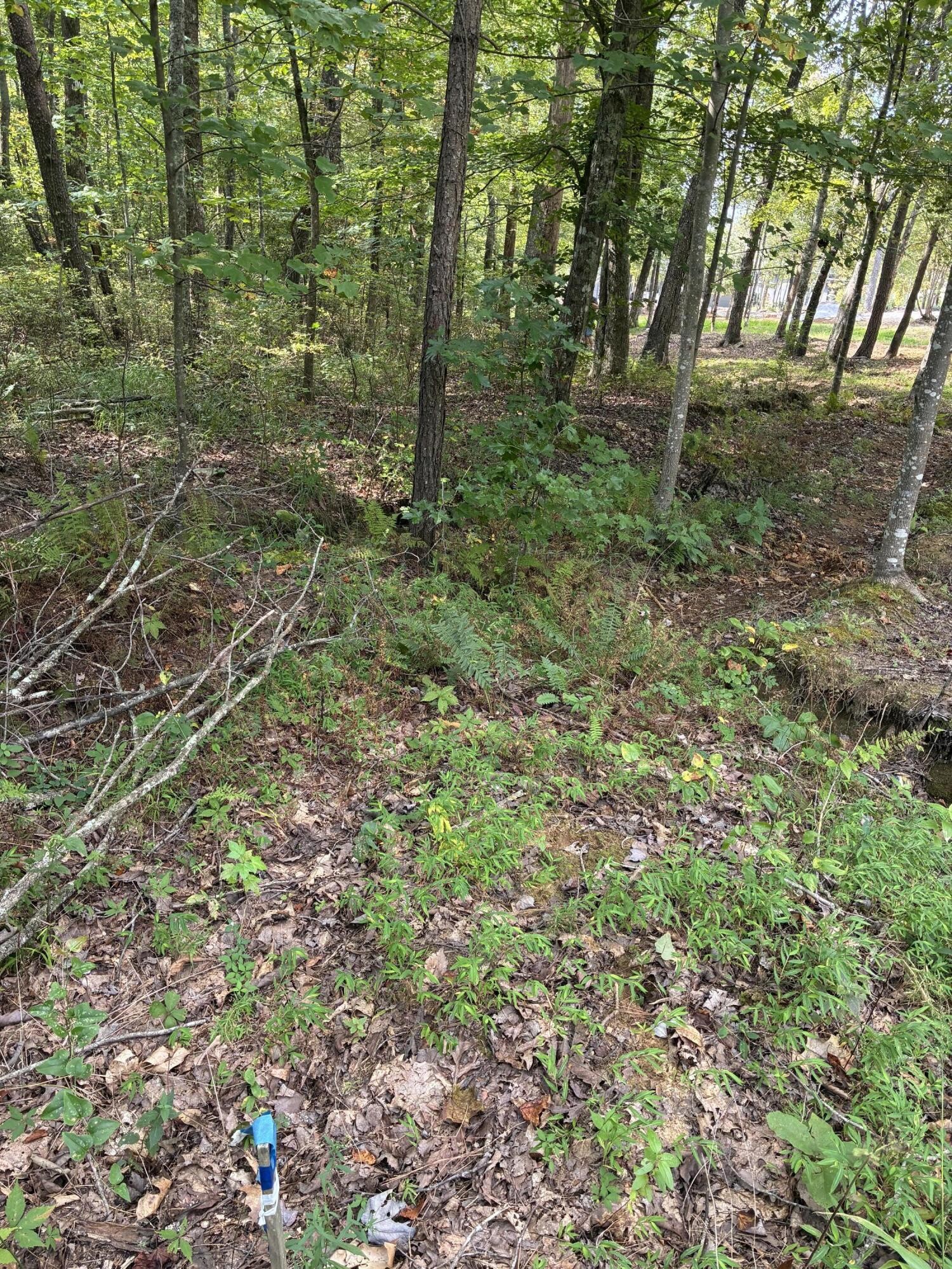 2795 Raulston Falls Drive Jasper, TN 37347 - Photo 34 of 96