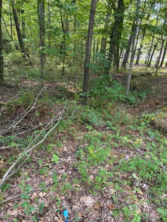 $429,000 | 2795 Raulston Falls Drive, Jasper, TN 37347