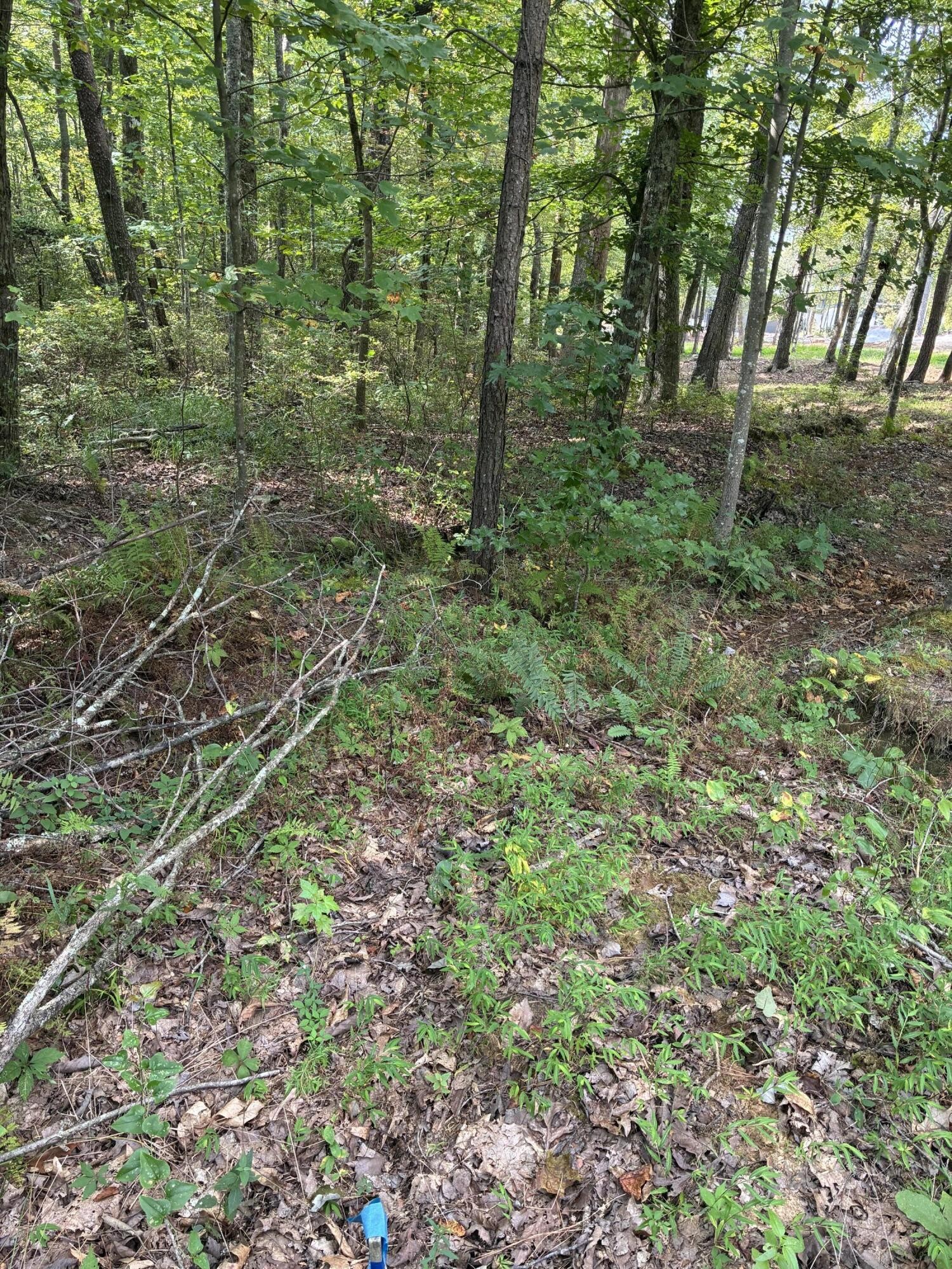 2795 Raulston Falls Drive Jasper, TN 37347 - Photo 35 of 96