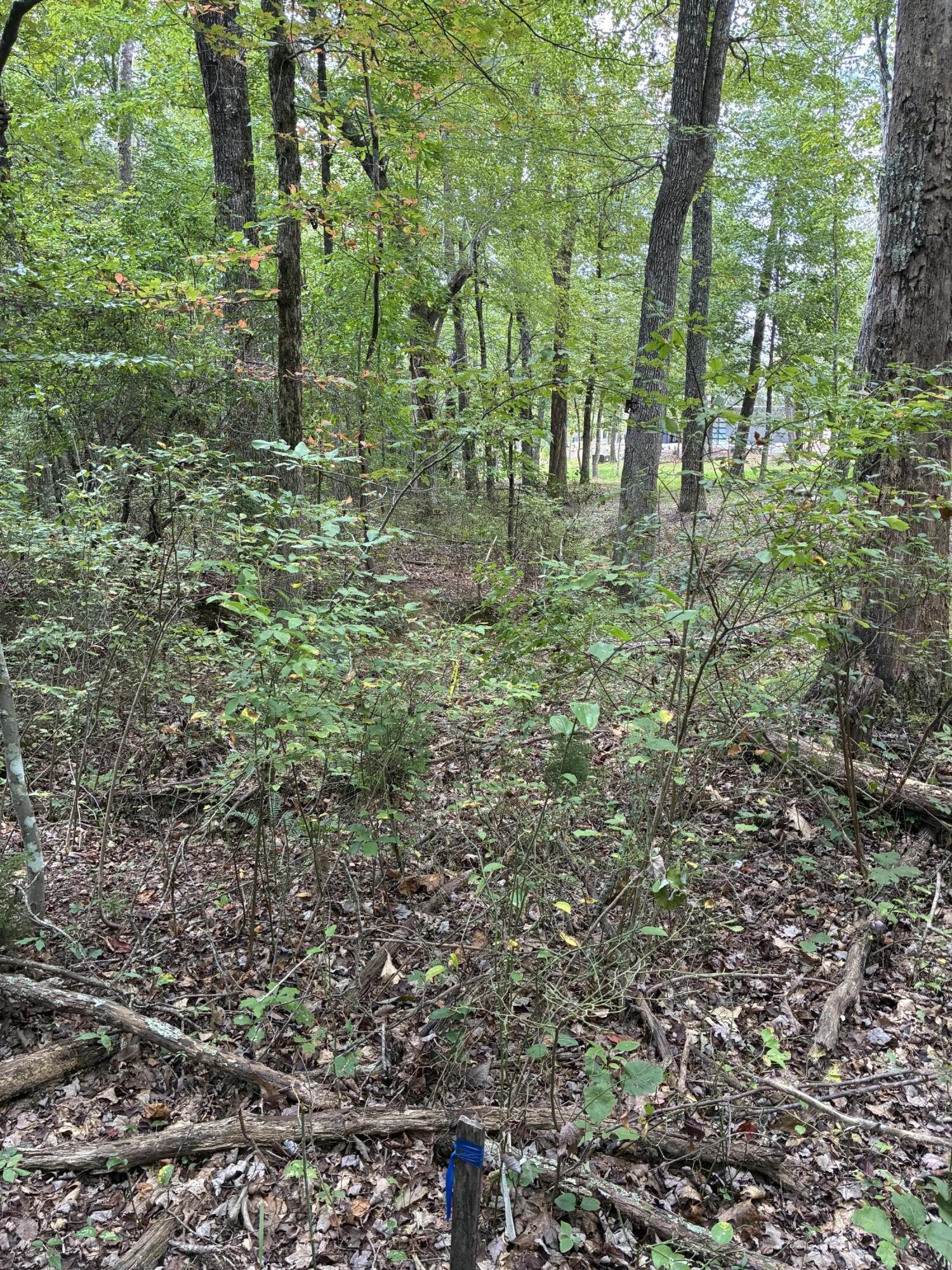 2795 Raulston Falls Drive Jasper, TN 37347 - Photo 36 of 96