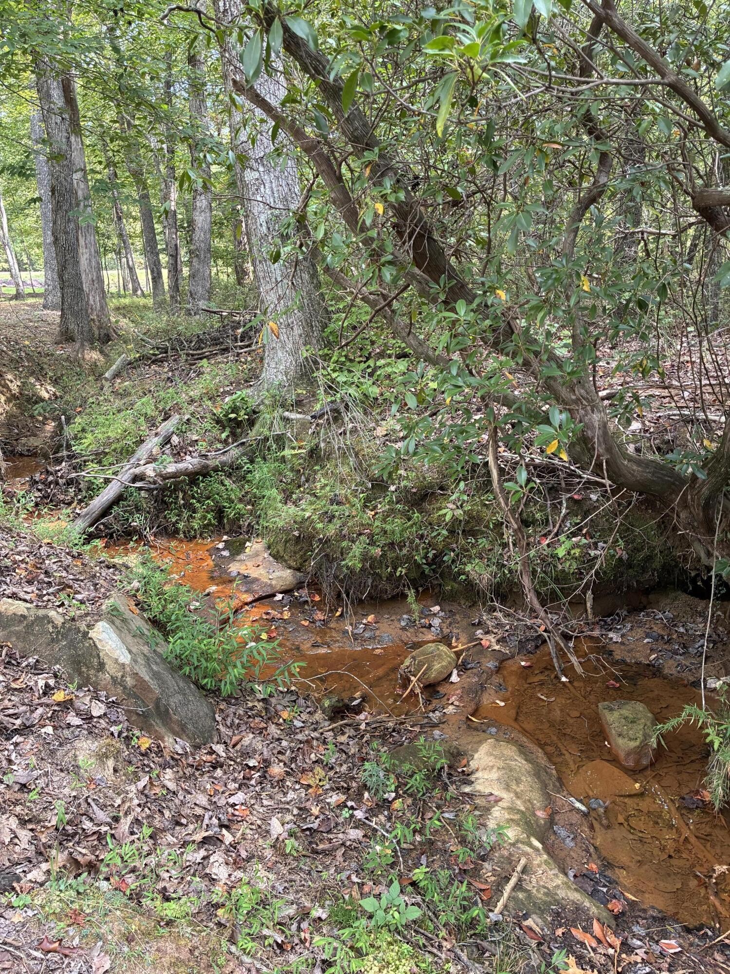 2795 Raulston Falls Drive Jasper, TN 37347 - Photo 40 of 96