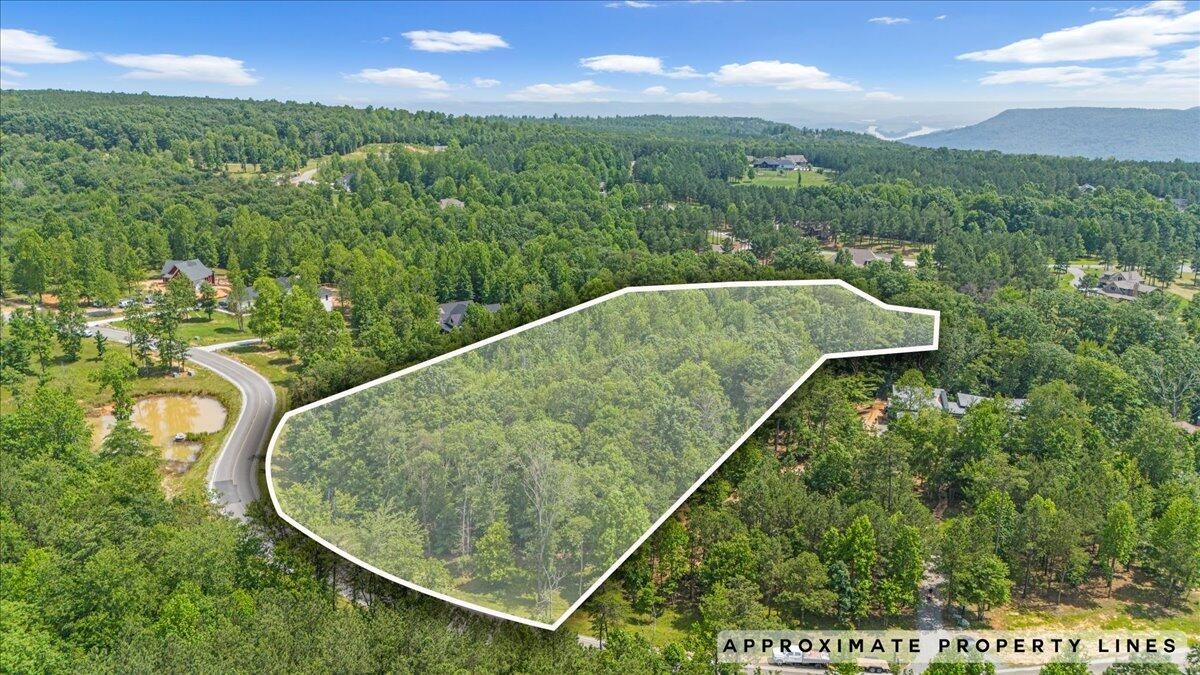 2795 Raulston Falls Drive Jasper, TN 37347 - Photo 4 of 96