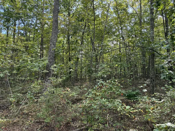 $429,000 | 2795 Raulston Falls Drive, Jasper, TN 37347