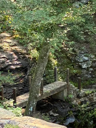 $429,000 | 2795 Raulston Falls Drive, Jasper, TN 37347