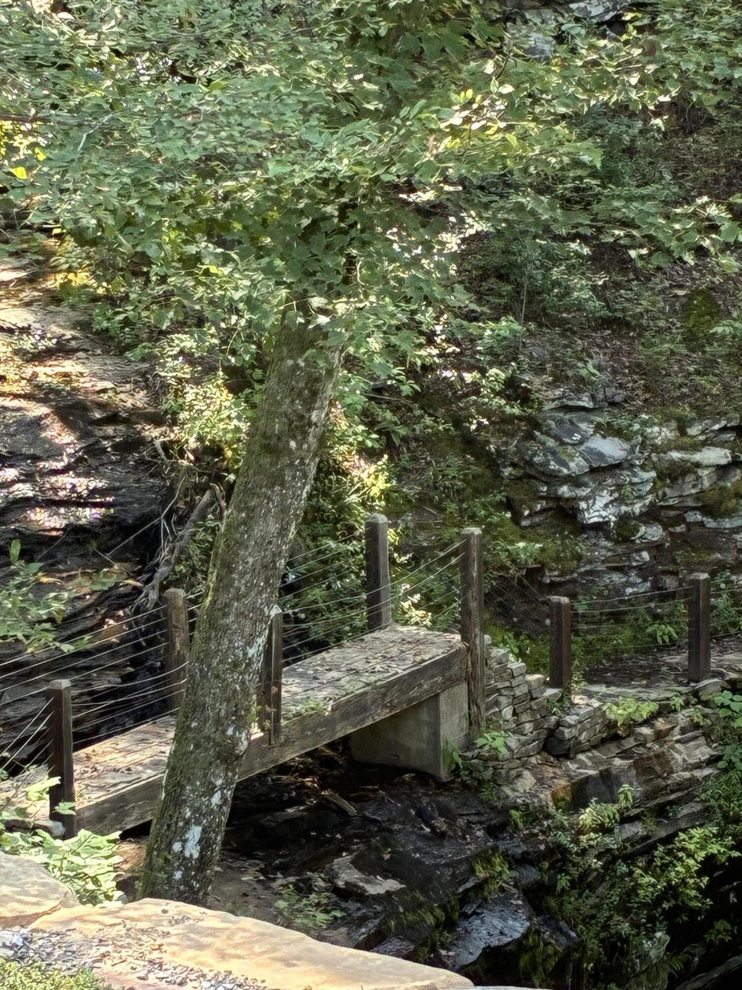 2795 Raulston Falls Drive Jasper, TN 37347 - Photo 45 of 96