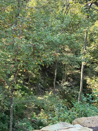 $429,000 | 2795 Raulston Falls Drive, Jasper, TN 37347