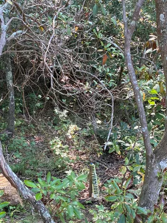 $429,000 | 2795 Raulston Falls Drive, Jasper, TN 37347