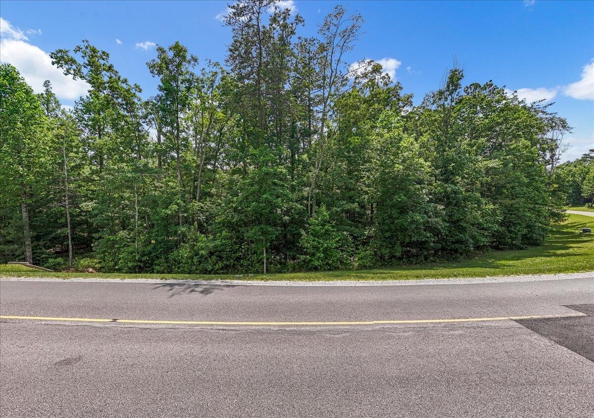 2795 Raulston Falls Drive Jasper, TN 37347 - Photo 5 of 96 a view of a yard