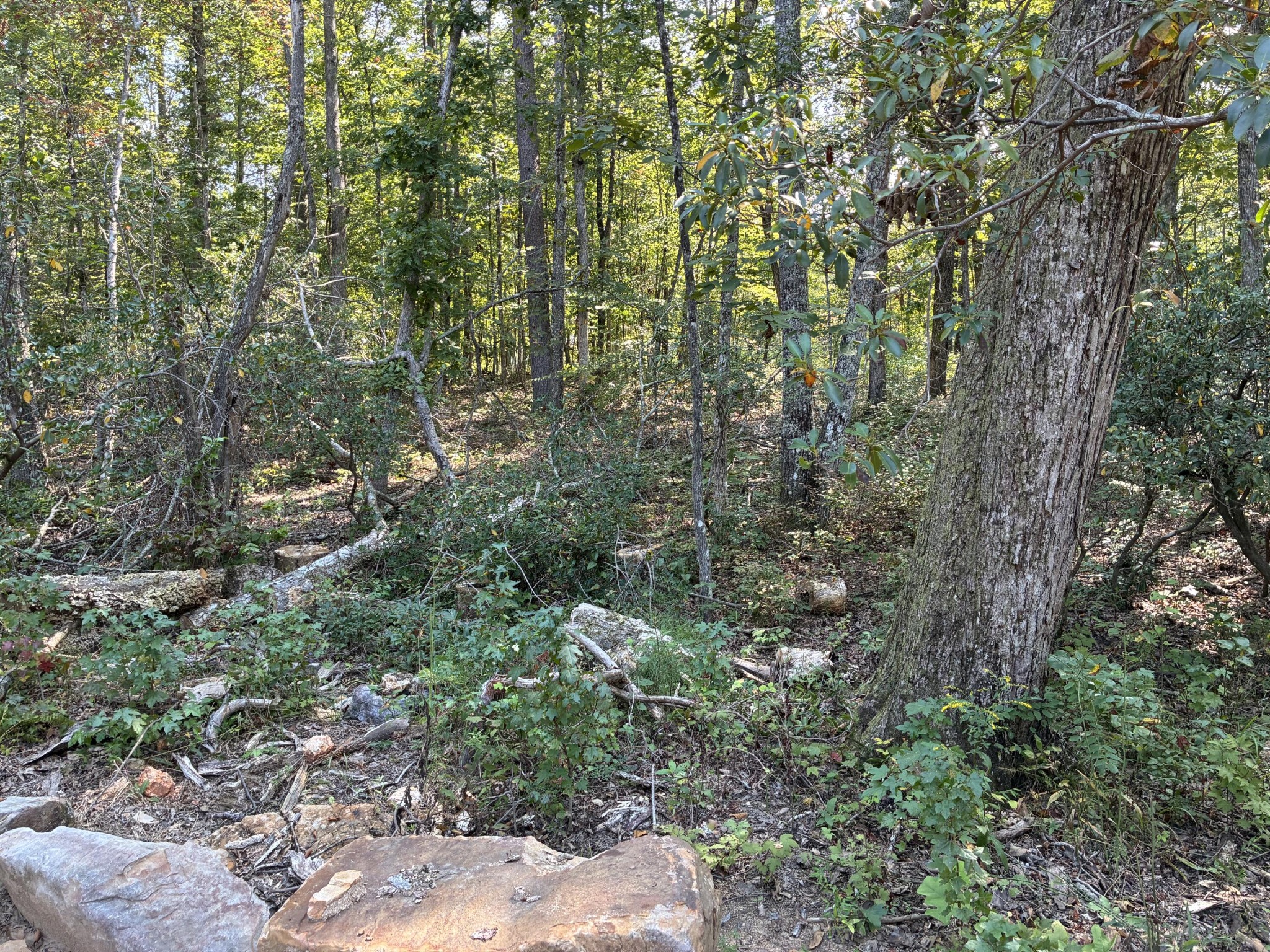 2795 Raulston Falls Drive Jasper, TN 37347 - Photo 51 of 96