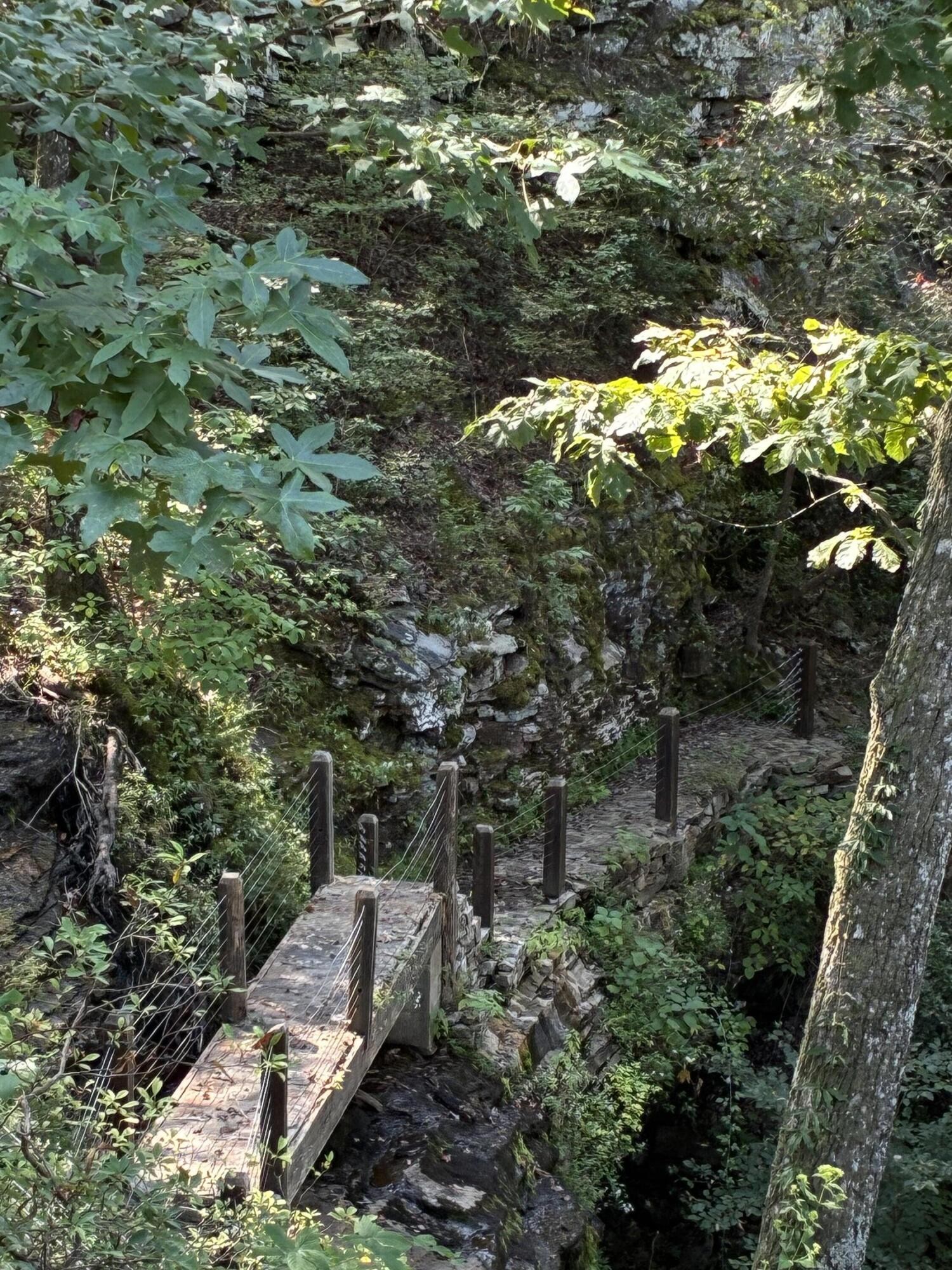 2795 Raulston Falls Drive Jasper, TN 37347 - Photo 52 of 96