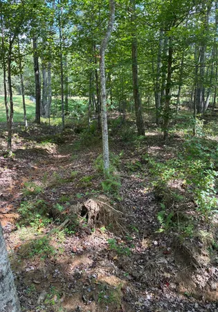 $429,000 | 2795 Raulston Falls Drive, Jasper, TN 37347