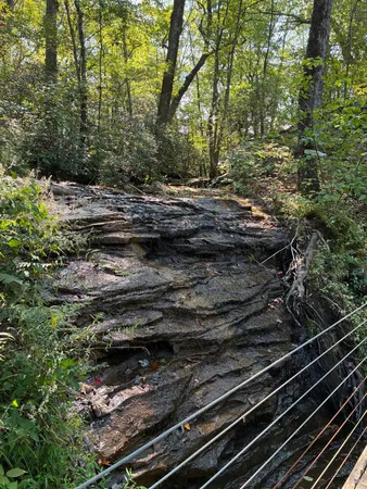 $429,000 | 2795 Raulston Falls Drive, Jasper, TN 37347