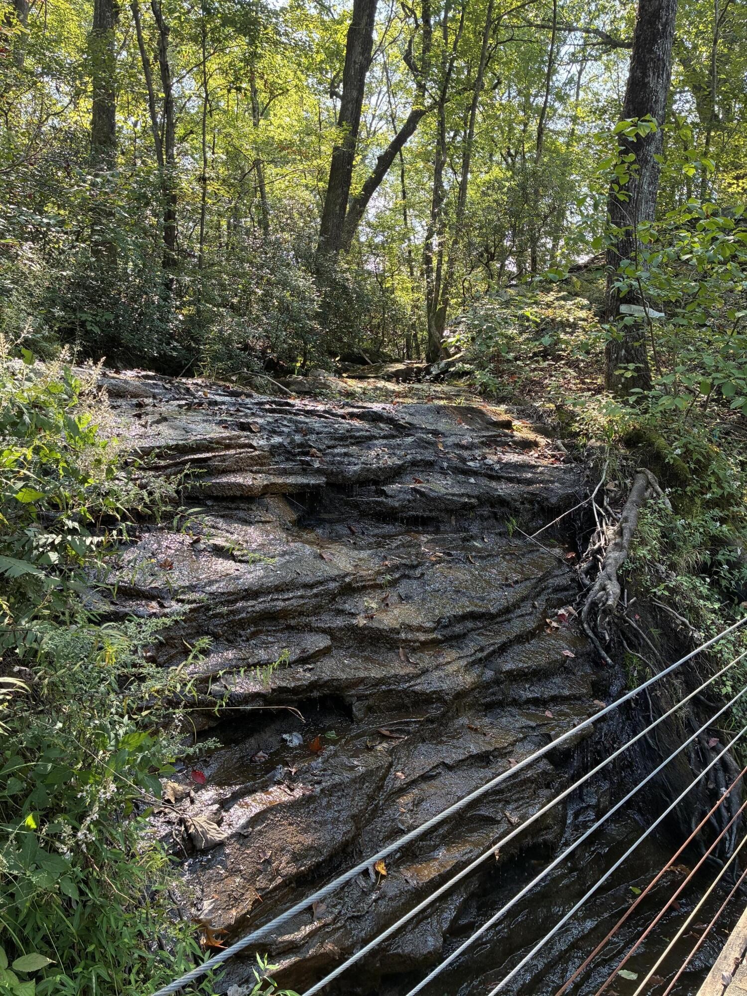 2795 Raulston Falls Drive Jasper, TN 37347 - Photo 56 of 96