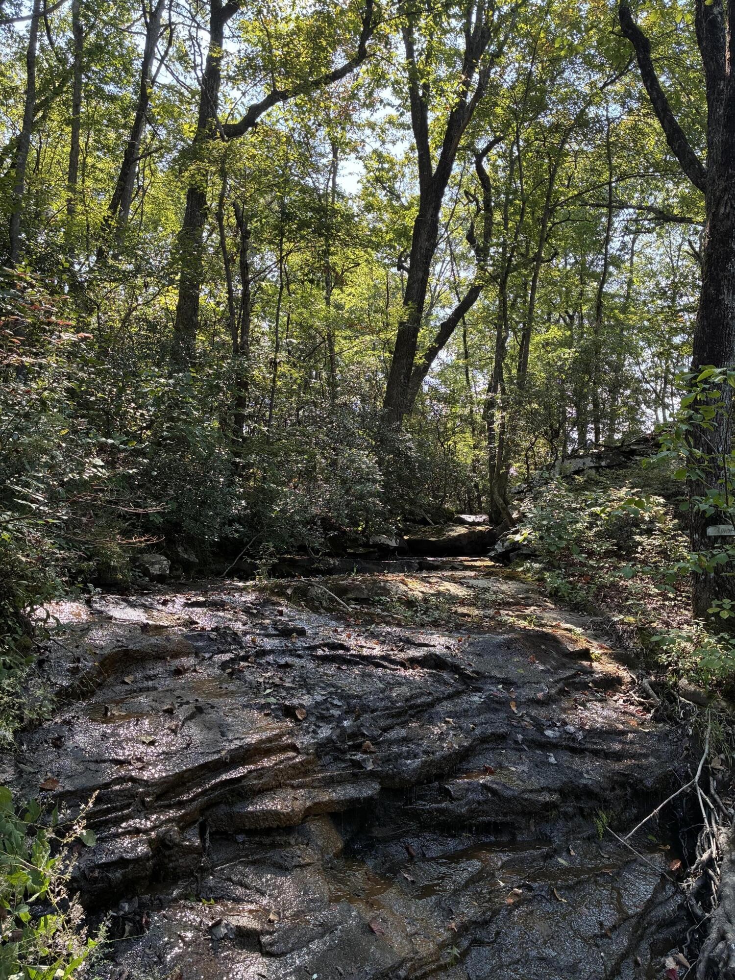 2795 Raulston Falls Drive Jasper, TN 37347 - Photo 57 of 96