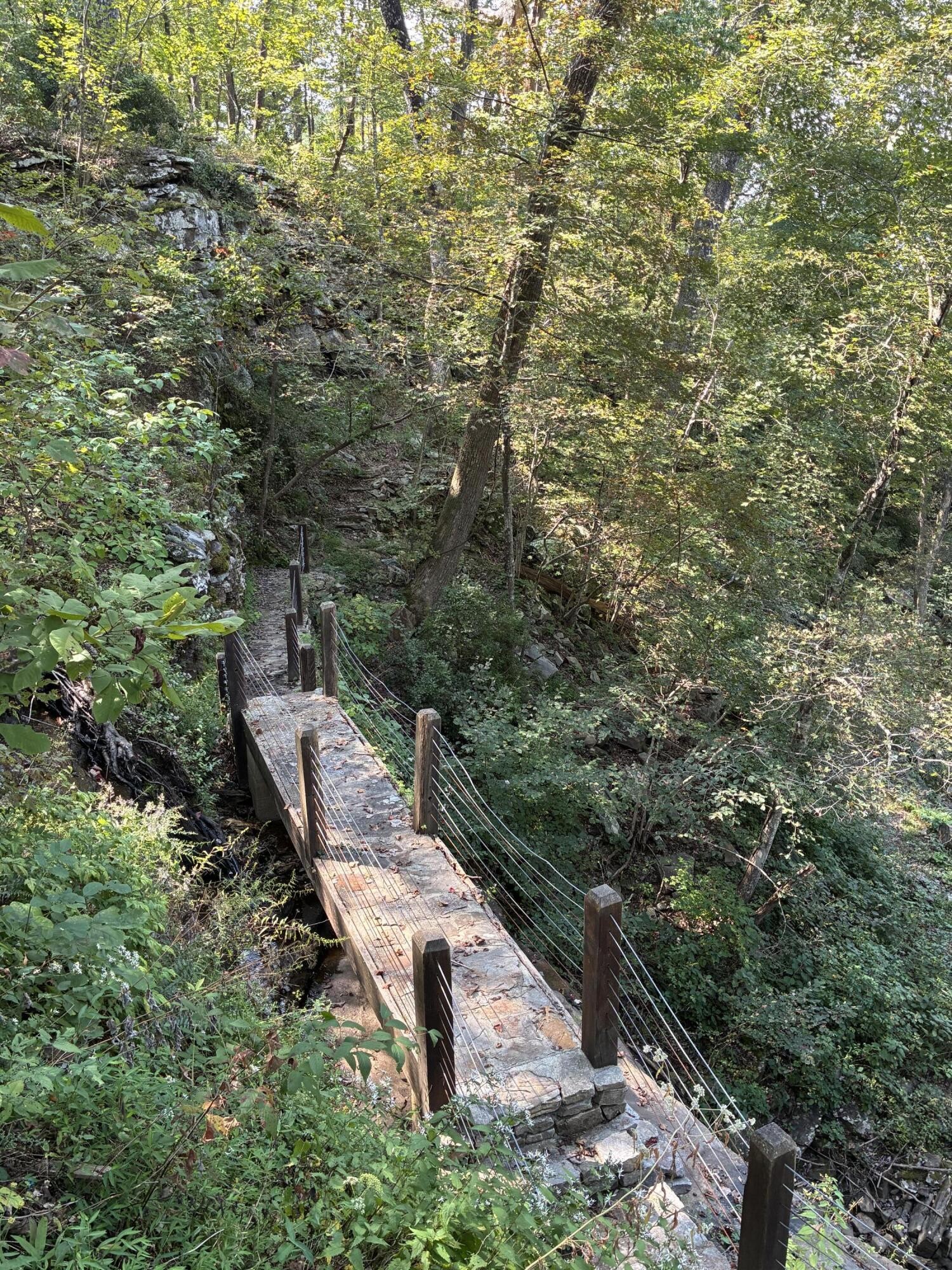 2795 Raulston Falls Drive Jasper, TN 37347 - Photo 59 of 96