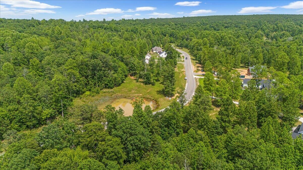 2795 Raulston Falls Drive Jasper, TN 37347 - Photo 8 of 96