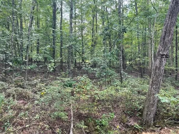 $429,000 | 2795 Raulston Falls Drive, Jasper, TN 37347