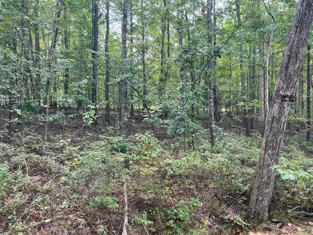 2795 Raulston Falls Drive Jasper, TN 37347 - Photo 89 of 96