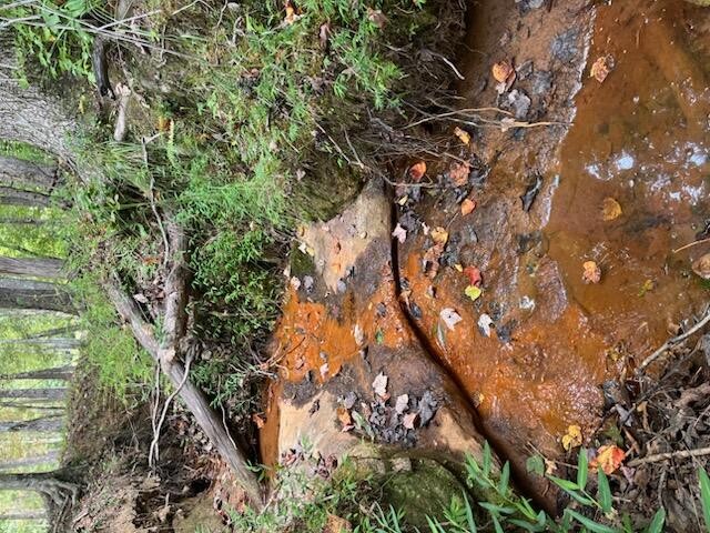 2795 Raulston Falls Drive Jasper, TN 37347 - Photo 90 of 96