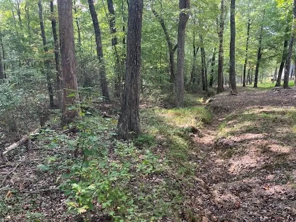 $429,000 | 2795 Raulston Falls Drive, Jasper, TN 37347