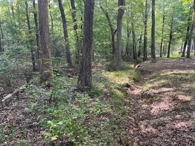 2795 Raulston Falls Drive Jasper, TN 37347 - Photo 91 of 96