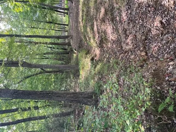 $429,000 | 2795 Raulston Falls Drive, Jasper, TN 37347