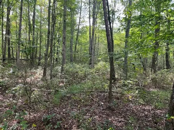 $429,000 | 2795 Raulston Falls Drive, Jasper, TN 37347