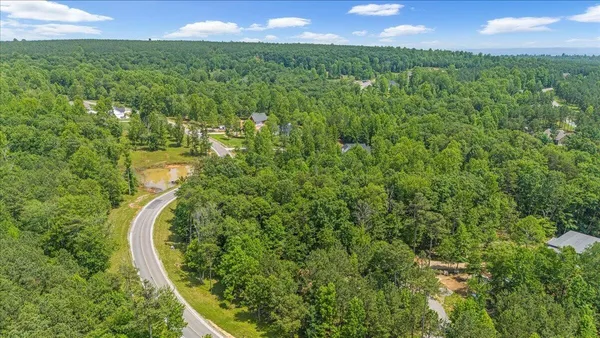 a view of a forest with trees