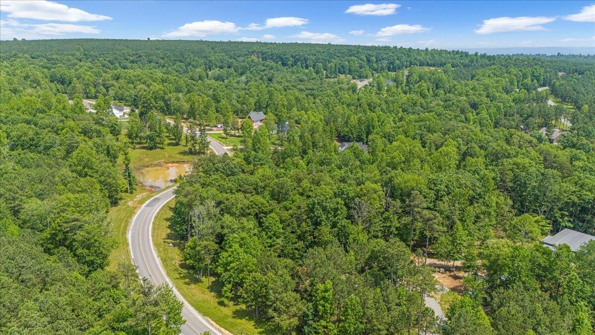 2795 Raulston Falls Drive Jasper, TN 37347 - Photo 10 of 96