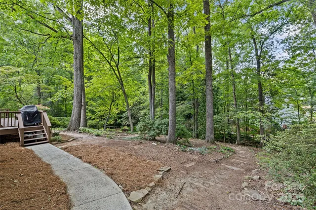 a view of a backyard with trees