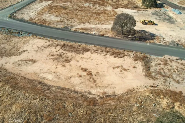 a view of ocean with trees