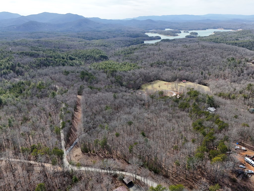 2.94-acr Padena Road Blue Ridge, GA 30513 - Photo 35 of 43 Gallery Image 35