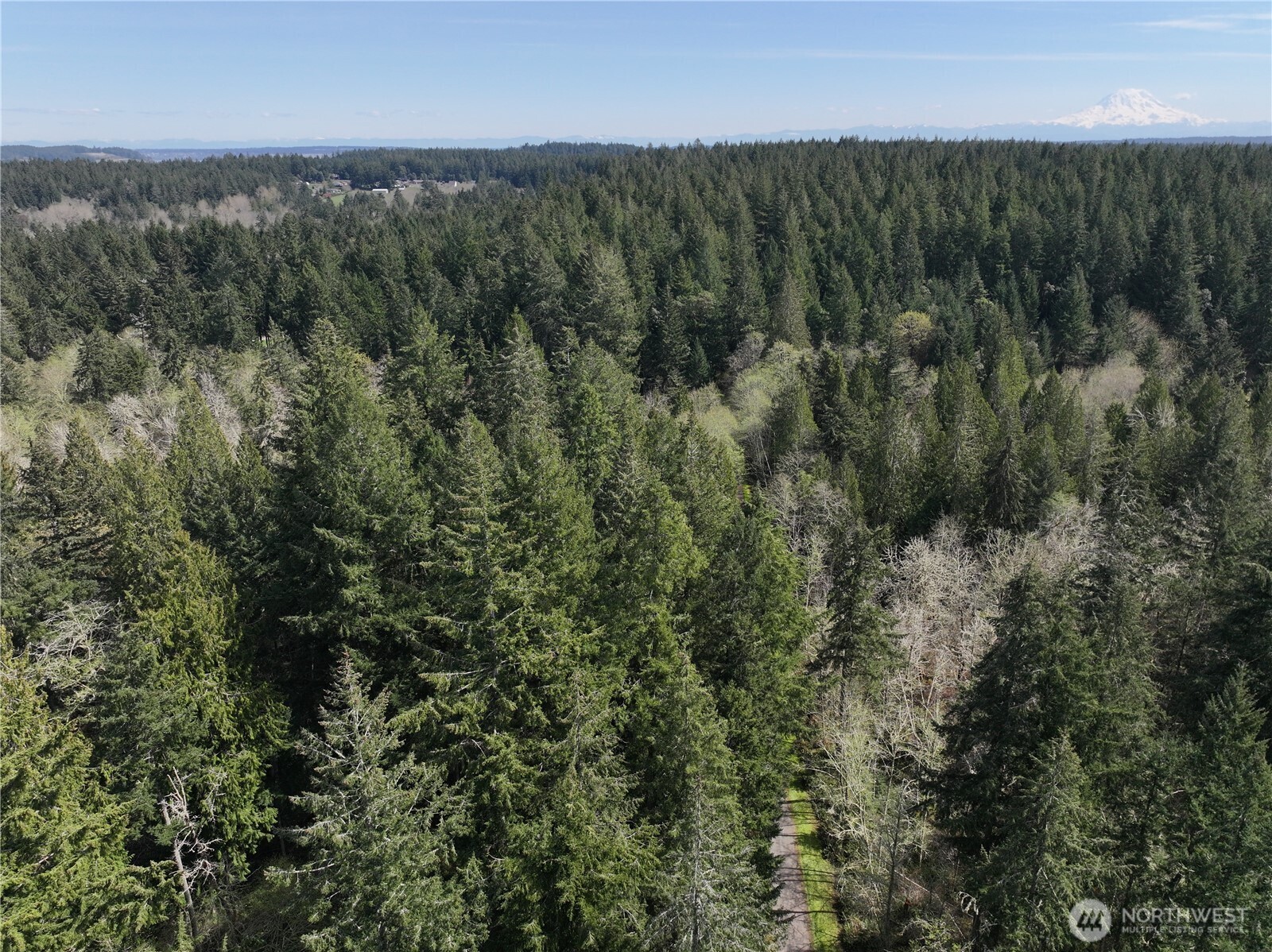 9538 Steffenson Road Anderson Island, WA 98303 - Photo 29 of 35