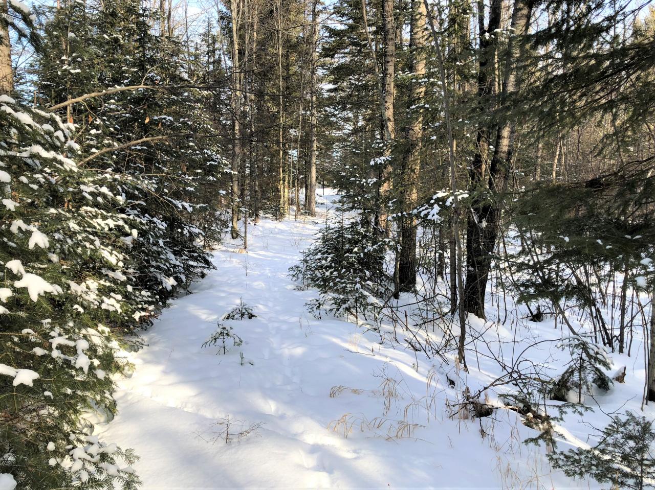 On On Wandering Way, Unit LOT B Rhinelander, WI 54501 - Photo 3 of 28 Gallery Image 3