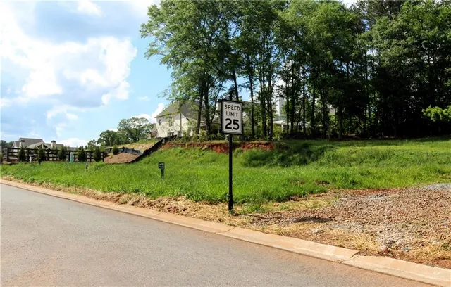 a view of a park with large trees
