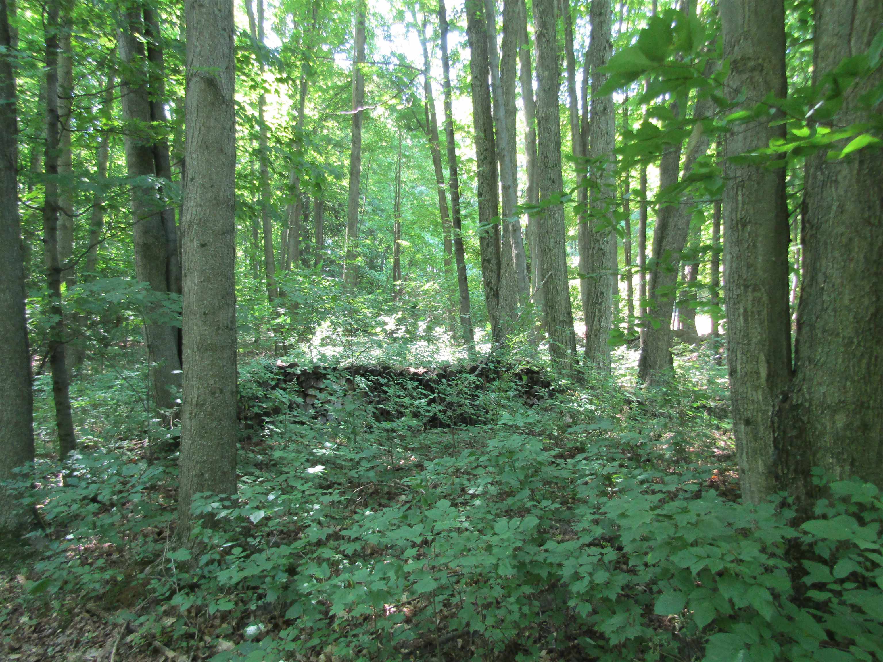 -vl Morrison Road West Branch, MI 48661 - Photo 6 of 8 Gallery Image 6