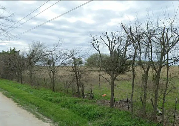 a view of a yard with large trees