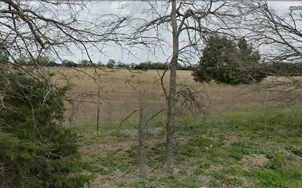 a backyard of a building with lots of trees
