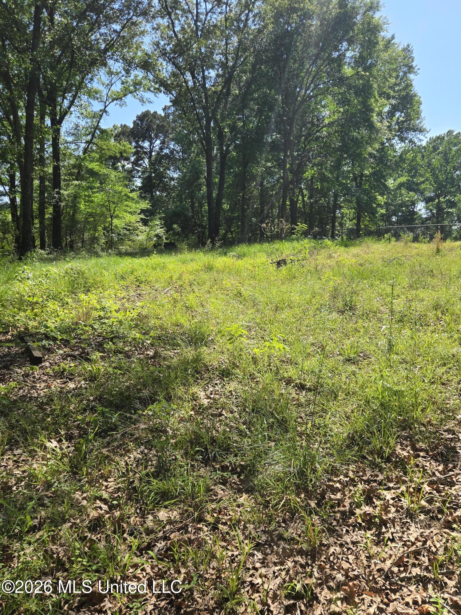 8300 Springridge Road Terry, MS 39170 - Photo 12 of 29 8300 Springridge Road, Terry - 12
